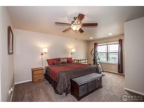 580 Wind River Dr, Windsor, CO 80550 photo 15