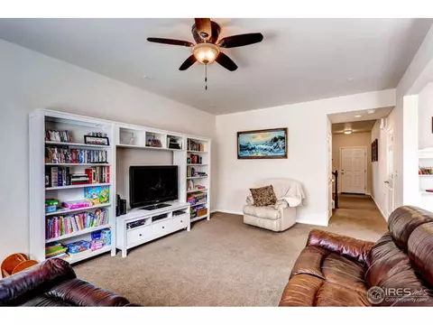 3342 E 140th Dr, Thornton, CO 80602 photo 20