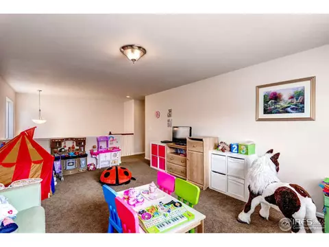 3342 E 140th Dr, Thornton, CO 80602 photo 12