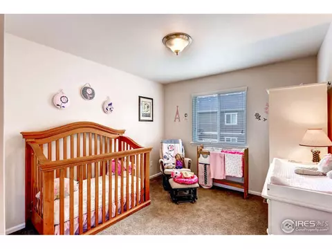 3342 E 140th Dr, Thornton, CO 80602 photo 19