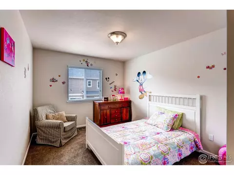 3342 E 140th Dr, Thornton, CO 80602 photo 18