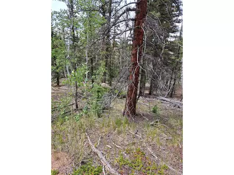 256 Bear Way, Como, CO 80432 photo 5