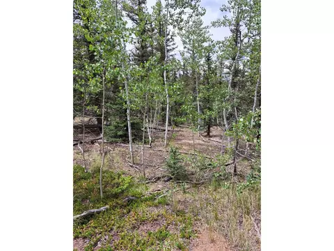 256 Bear Way, Como, CO 80432 photo 15