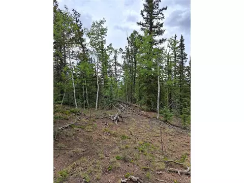 256 Bear Way, Como, CO 80432 photo 3