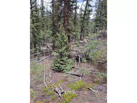 256 Bear Way, Como, CO 80432 photo 8