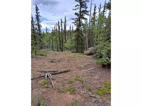 256 Bear Way, Como, CO 80432 photo 9