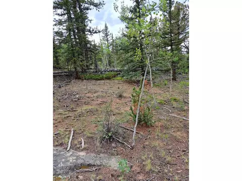 256 Bear Way, Como, CO 80432 photo 11