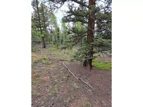 256 Bear Way, Como, CO 80432 photo 6