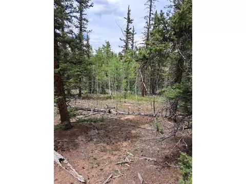 256 Bear Way, Como, CO 80432 photo 13