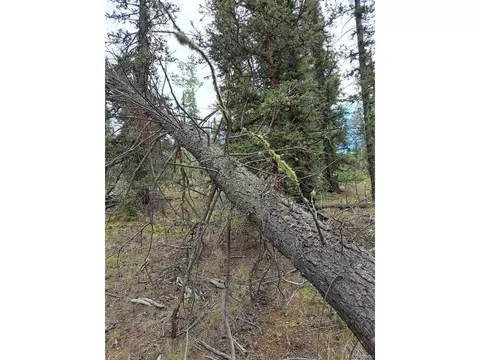 256 Bear Way, Como, CO 80432 photo 14