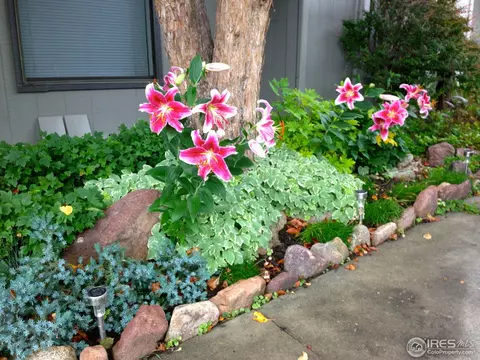 1305 Bear Mountain Dr #C, Boulder, CO 80305 photo 23