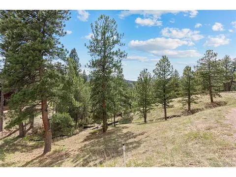 5207 Mountain Vista Ln, Evergreen, CO 80439