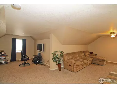 11382 E 111th Ave, Henderson, CO 80640 photo 18