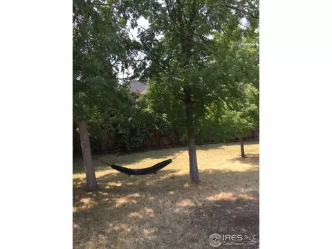 1391 55th St, Boulder, CO 80303 photo 5