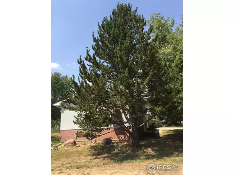 1391 55th St, Boulder, CO 80303 photo 2