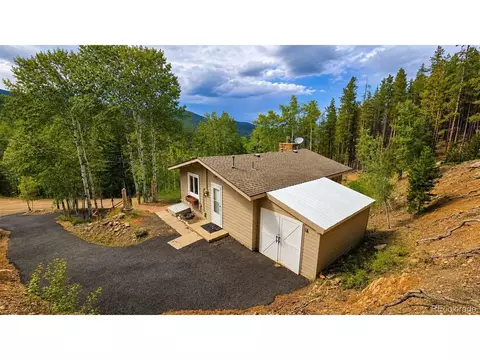 8680 London Ln, Conifer, CO 80433