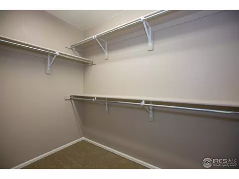 1663 Merton Ct, Windsor, CO 80550 photo 9