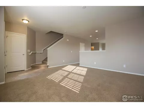 1663 Merton Ct, Windsor, CO 80550 photo 3
