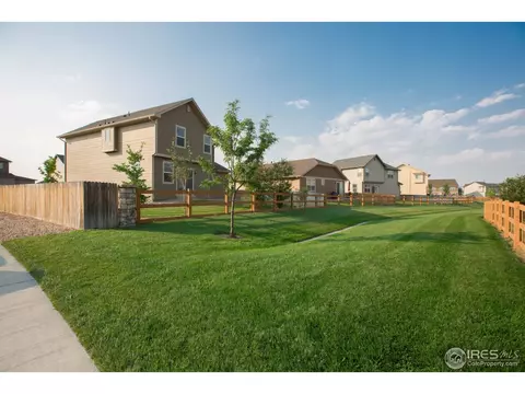 1663 Merton Ct, Windsor, CO 80550 photo 16