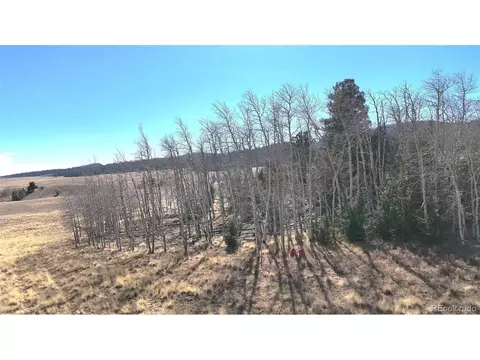 8802 Ranch Rd, Hartsel, CO 80449 photo 5