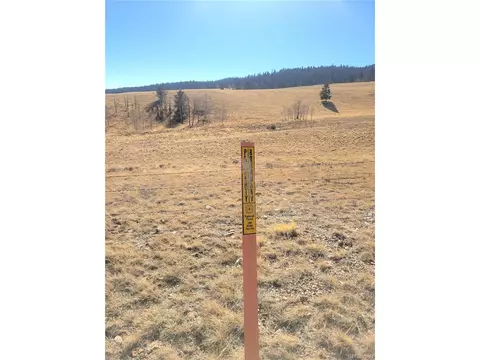 8802 Ranch Rd, Hartsel, CO 80449 photo 8