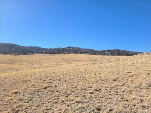 8802 Ranch Rd, Hartsel, CO 80449 photo 10