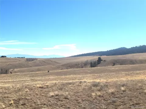 8802 Ranch Rd, Hartsel, CO 80449 photo 20