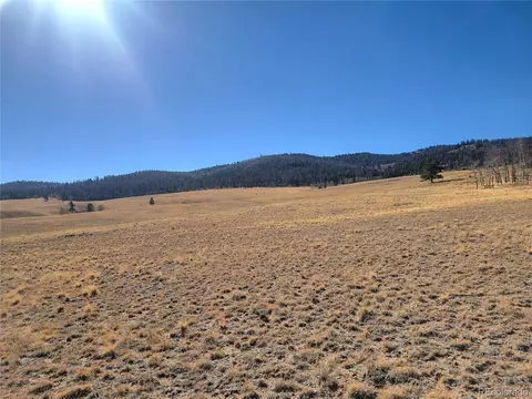 8802 Ranch Rd, Hartsel, CO 80449 photo 17