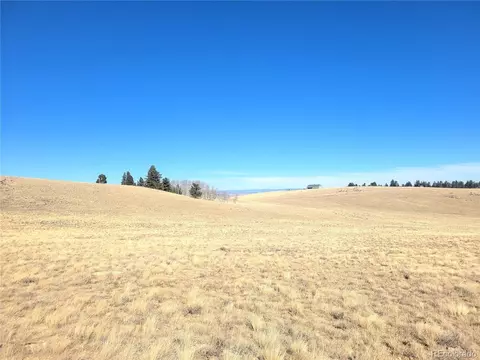 8802 Ranch Rd, Hartsel, CO 80449 photo 13