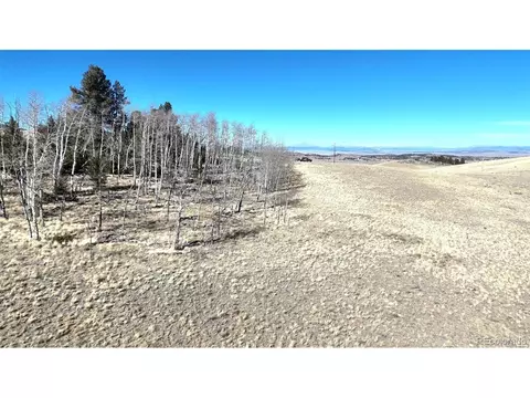 8802 Ranch Rd, Hartsel, CO 80449 photo 6