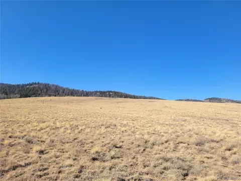 8802 Ranch Rd, Hartsel, CO 80449 photo 14