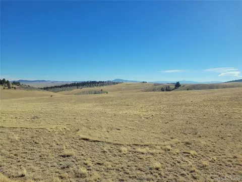 8802 Ranch Rd, Hartsel, CO 80449 photo 9
