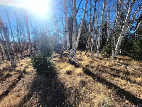8802 Ranch Rd, Hartsel, CO 80449 photo 4