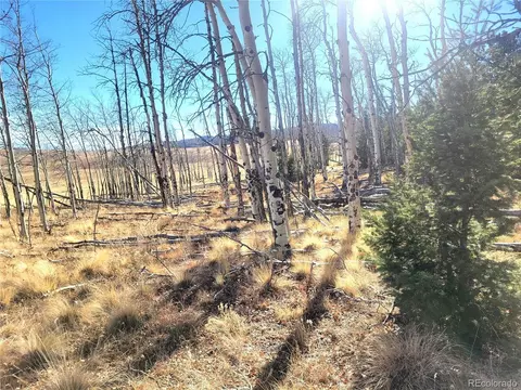8802 Ranch Rd, Hartsel, CO 80449 photo 3