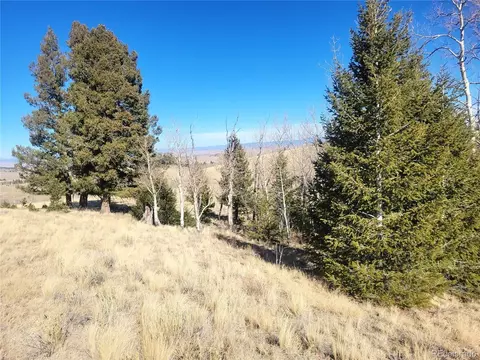 8802 Ranch Rd, Hartsel, CO 80449 photo 2