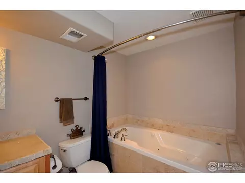 1409 Pintail Ct, Windsor, CO 80550 photo 24