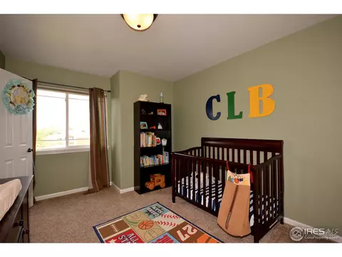 1409 Pintail Ct, Windsor, CO 80550 photo 16