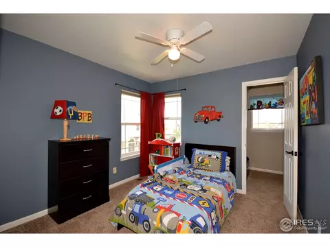 1409 Pintail Ct, Windsor, CO 80550 photo 18