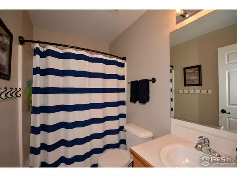 1409 Pintail Ct, Windsor, CO 80550 photo 20