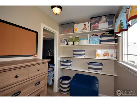 1409 Pintail Ct, Windsor, CO 80550 photo 17