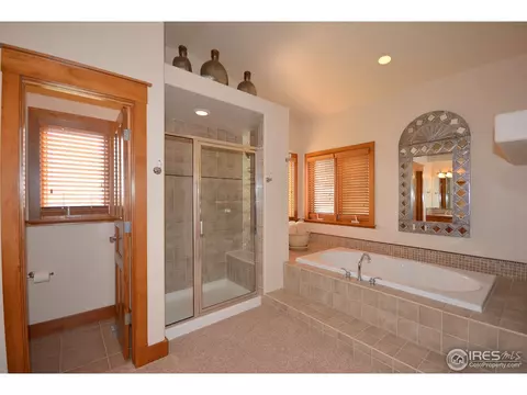 425 Madera Way, Windsor, CO 80550 photo 16
