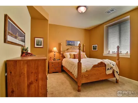 2051 Vineyard Dr, Windsor, CO 80550 photo 19