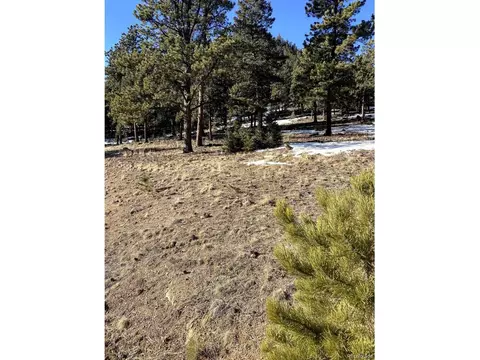 51 Diamond Dr, Pine, CO 80470 photo 6
