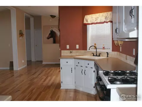 9614 Gray Ave, Carr, CO 80612 photo 4