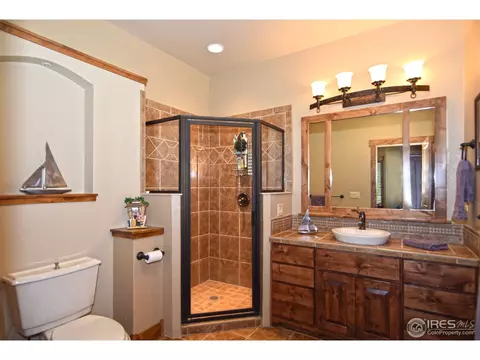 8451 Sand Dollar Dr, Windsor, CO 80528 photo 15