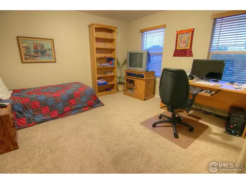 1564 Edenbridge Dr, Windsor, CO 80550 photo 21