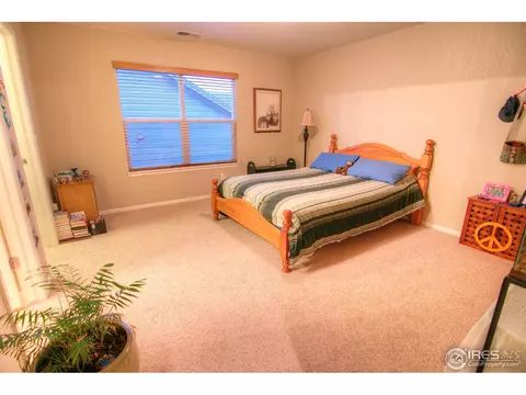 1564 Edenbridge Dr, Windsor, CO 80550 photo 19
