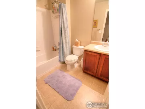 1564 Edenbridge Dr, Windsor, CO 80550 photo 20