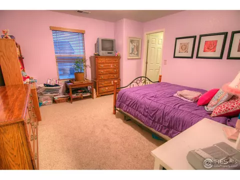 1564 Edenbridge Dr, Windsor, CO 80550 photo 22