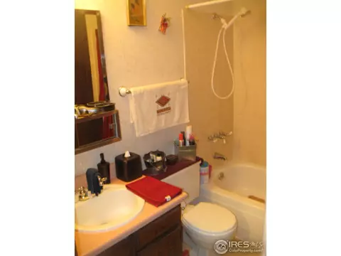 321 S 31st Ave, Brighton, CO 80601 photo 15